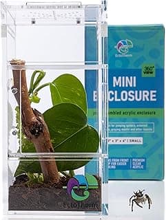 Jumping Spider Enclosure, Praying Mantis Habitat, Insect Terrarium, Bug Enclosure, Spider Cage, Jumping Spider Habitat, Spider Terrarium Kit, Praying Mantis Habitat, Arboreal Tarantula Enclosure image