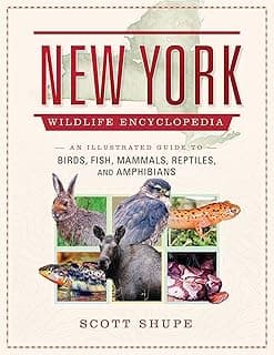 New York Wildlife Encyclopedia: An Illustrated Guide to Birds, Fish, Mammals, Reptiles, and Amphibians image