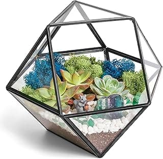 7” DIY Succulent Terrarium Kit with Live Plants, Decorative Rocks, Moss & Healing Crystals, Figurine, Terrarium Tools, Geometric Glass Terrarium Decor image