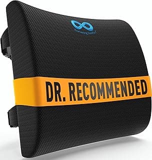 Everlasting Comfort Lumbar Support Pillow for Office Chair - Memory Foam Back Cushion for Chair, Car, Couch - Lumbar Pillow Promotes Better Posture, Back Pain Relief - Ideal for Gaming and Desk Chairs image