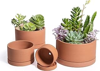 D'vine Dev Set of 4 Terracotta Shallow Planter Pots for Succulent, 3 Inch 4 Inch 5 Inch 6 Inch, Small Flower Plant Pots with Drainage and Saucer, 40-Z-0 image