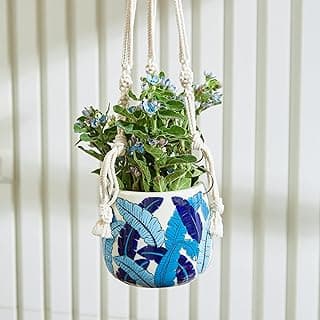 AzureLeaf Hanging Planters for Indoor Plants with Macrame Plant Hanger - Luxury Boho Wall Decor - Perfect for Succulent Pots, Orchid Pots with Holes - 6 Inch Plant Pot (Macrame Style 5) image
