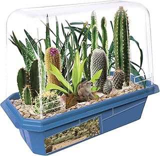 Toys By Nature Miniature Worlds Desert Oasis Succulent Garden Kit - Fast Growth Rate, Minimal Watering, Complete Set! (Desert Plant Collection) image