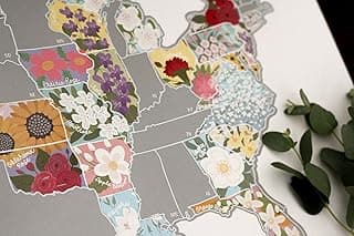 Scratch Your Travels® US State Flowers Map (Official State Flowers Wall Art of The United States of America) (Silver) image