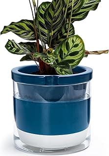 D'vine Dev 8 Inch Design Self Watering Planter for Indoor Plants, Blue Terracotta Pot with Cylinder Glass Cup, Set of 1, 375-C-1 image