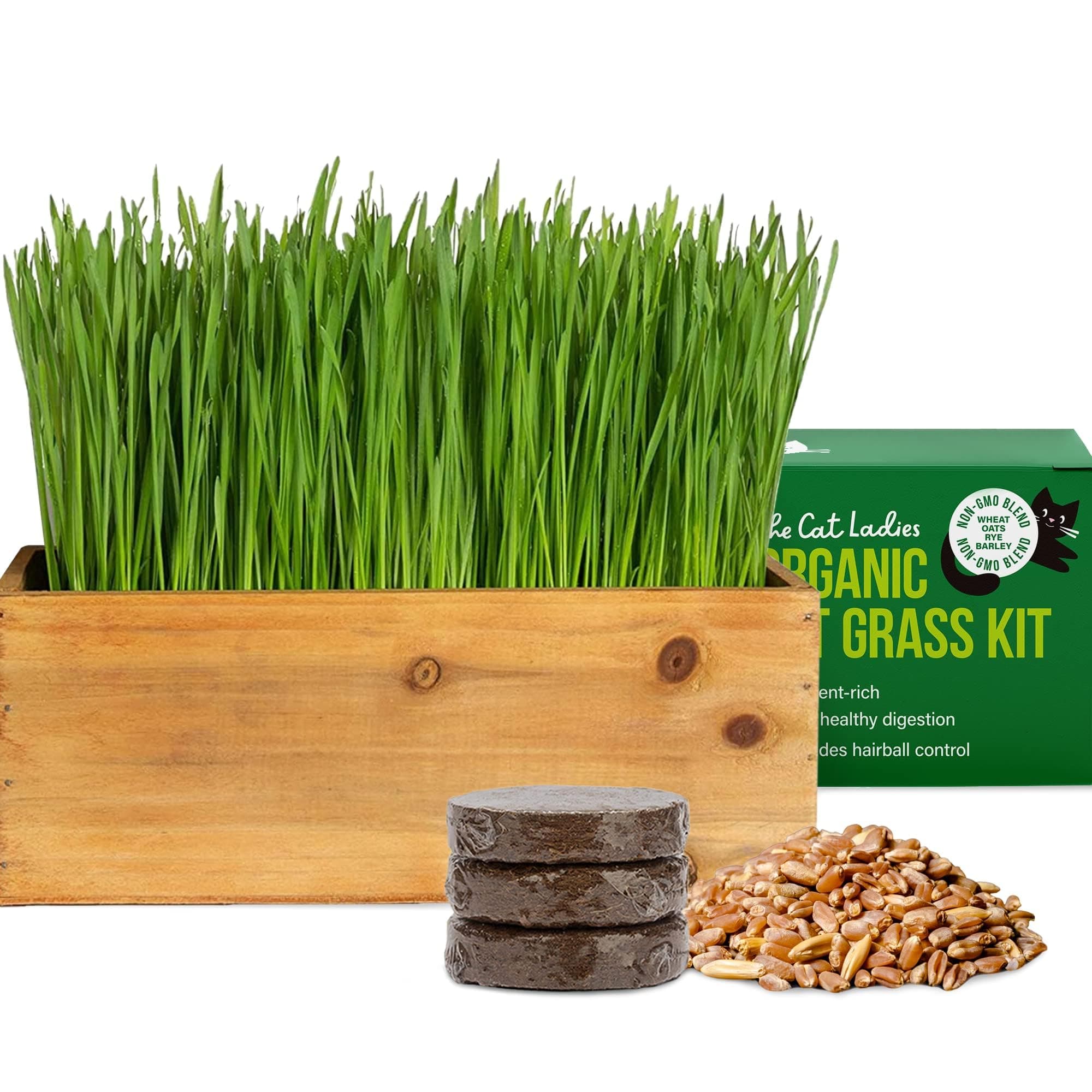The Cat Ladies Cat Grass Kit (Organic) with Rustic Wood Planter, Seed and Soil. Easy to Grow for Indoor or Outdoor Cats, Dogs and Other Pets. Prevent Hairballs and Aid Digestion