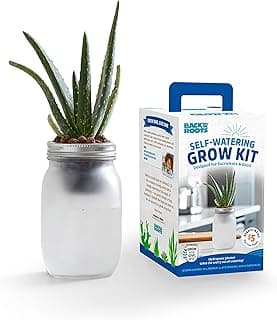 Back to the Roots Self Watering Grow Kit - Glass Hydroponic Planters for Succulents and Cacti - Hassle-Free Self-Watering System image