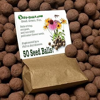 US Native Wildflower Seed Bombs for Pollinators (50 Pack). Regional Wildflower Mix Seed Balls for Guerrilla Gardening (Southwest) image