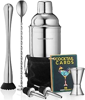 Mixology Cocktail Shaker Set Drink Mixer, 8-Piece Portable Bartender Kit with 24oz Martini Shaker Barware Tool Set, 2 Pourers, Muddler, Jigger, Mixing Spoon, Velvet Bag, Built-in Strainer (Silver) image