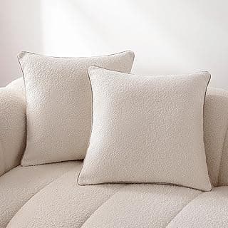 Amazon Basics Textured Decorative Throw Pillow Covers with Hidden Zipper Closure, Pack of 2, 20×20in, White