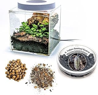 Tiny Terrarium Kit with Isopods (6x6 inch) - DIY Starter Kit, BioActive Enclosure, Live Tropical Plants, LED Grow Light, Soil & Drainage, White image